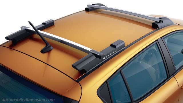 Exterieurdetail des Dacia Sandero Stepway