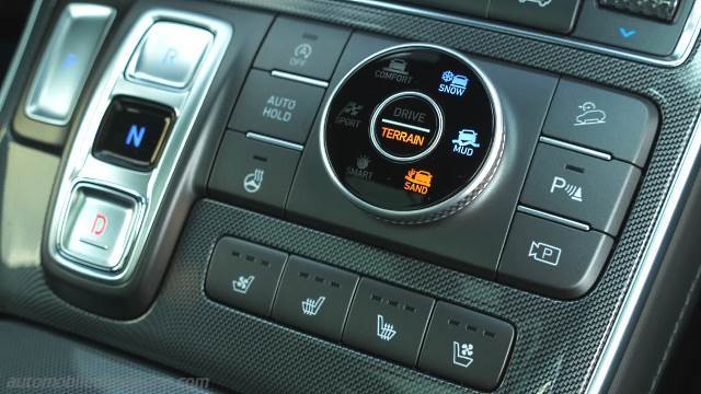 Dettaglio interno della Hyundai Santa Fe